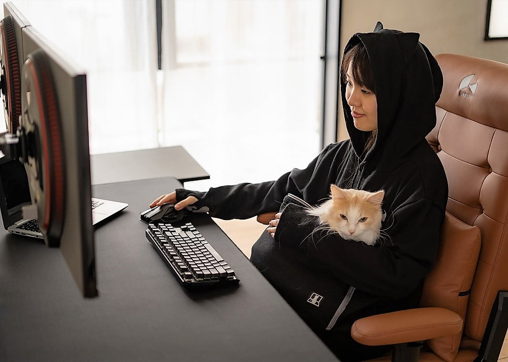 Video gamer hoodie for cat lovers who want the company of their cat when gaming