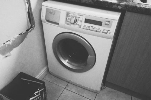 Washing machine used by a teenager in Britain to suffocate a cat overnight