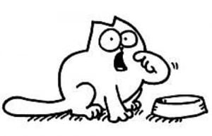 Simon's cat asking for food