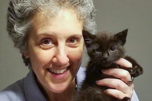 Maryland state Sen. Cheryl C. Kagan D-Montgomery holds her corona kitty. Kagan sponsored a bill that would make Maryland the second state in the country to ban declawing cats