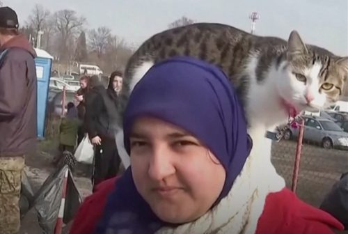 Pharmacy student Amira with her cat Simba as she flees Ukraine