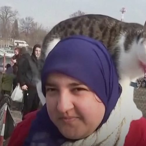 Pharmacy student Amira with her cat Simba as she flees Ukraine