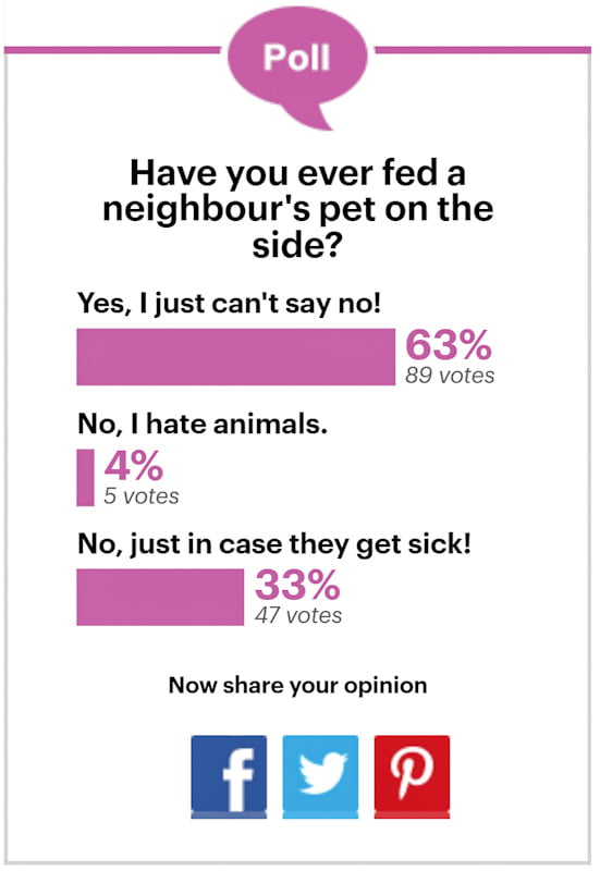 Poll tells us that most neighbours will feed a visiting cat
