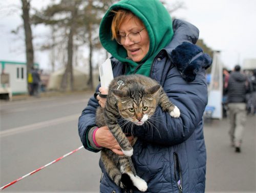 Refugee flees with her tabby cat companion. She is at the Romanian border.