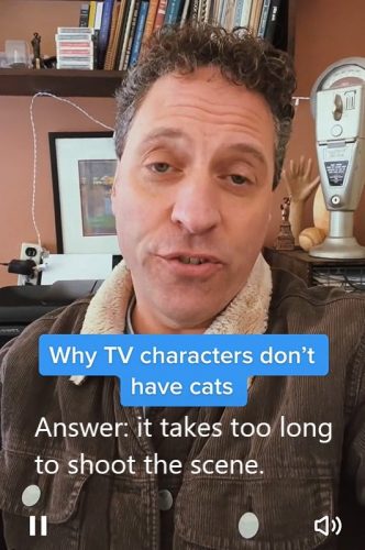 Why we don't have cats on television shows?