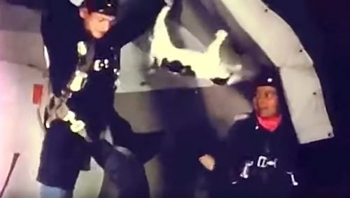 Amused American military personnel see what happens to cats, who self-right in gravity when falling, when they are in zero gravity