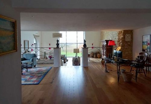 Live in a luxury château in France for free if you look after their two cats