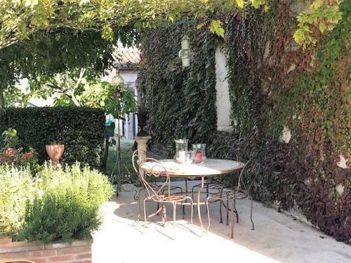 Live in a luxury château in France for free if you look after their two cats