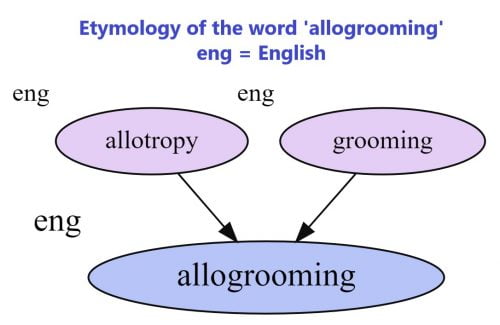 Etymology of the word allogrooming