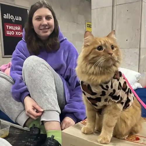 Julia and her ginger tabby cat. She is an IT worker who continues to work in her subterranean home