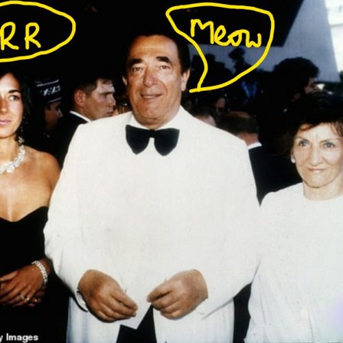 Maxwells conversed in cat-speak