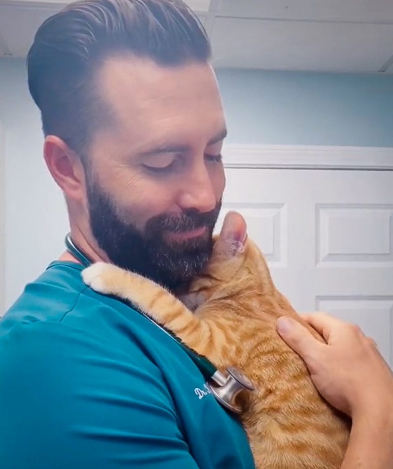Vet takes time to gain his patients' trust