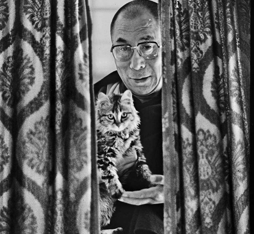 Dalai Lama and tabby cat
