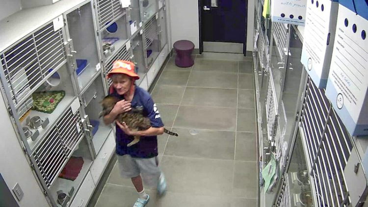 Woman steals a cat from a Humane Society rescue centre
