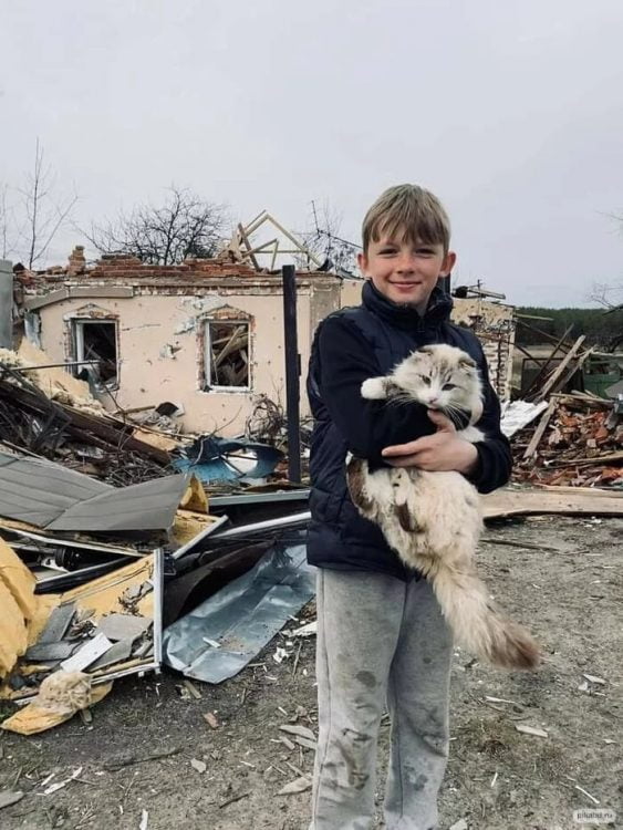 Boy returns to his devastated home and finds his cat which he holds up in front of the camera