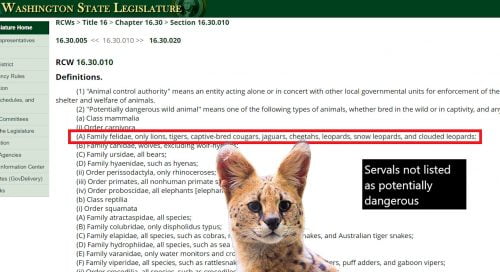 Servals not listed as a potentially dangerous animal under Washington state law