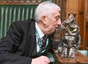 Sir Lindsay Hoyle and his new Maine Coon kitten Attlee touch nose in a friendly greeting