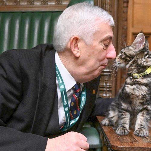 Sir Lindsay Hoyle and his new Maine Coon kitten Attlee touch nose in a friendly greeting
