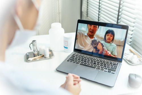 Veterinary telemedicine is good with limitations
