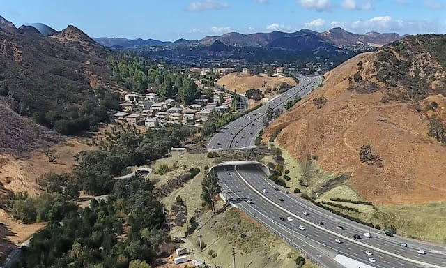 Green bridge for pumas traversing California's Freeway 101 will be world's biggest