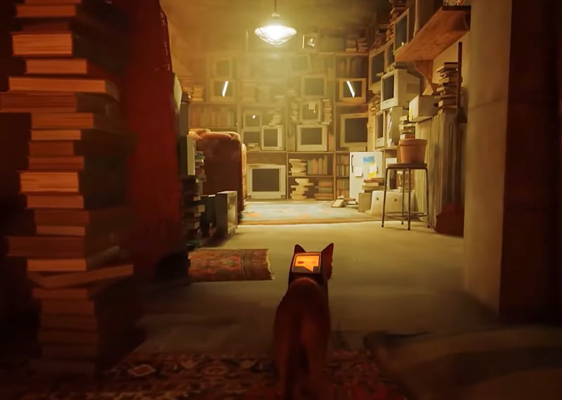 'Stray' a video game concerning a cat in a dystopian world of robots