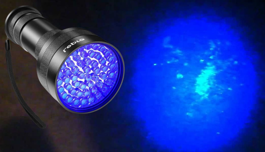 UV light detects urine stain
