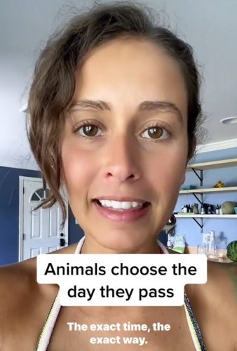 Animals choose the day they pass - Nikki Vasconez