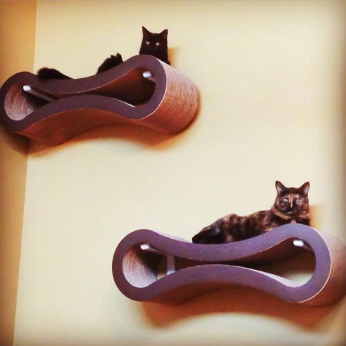 Ultimate Cat scratcher and lounger