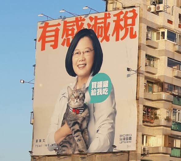 Tsai Ing-Wen on a campaign poster with Think Think her gray tabby rescue cat