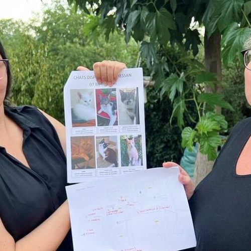 Mystery of cat snatchers alarms French villagers