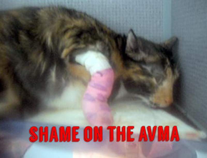 Shame on the AVMA