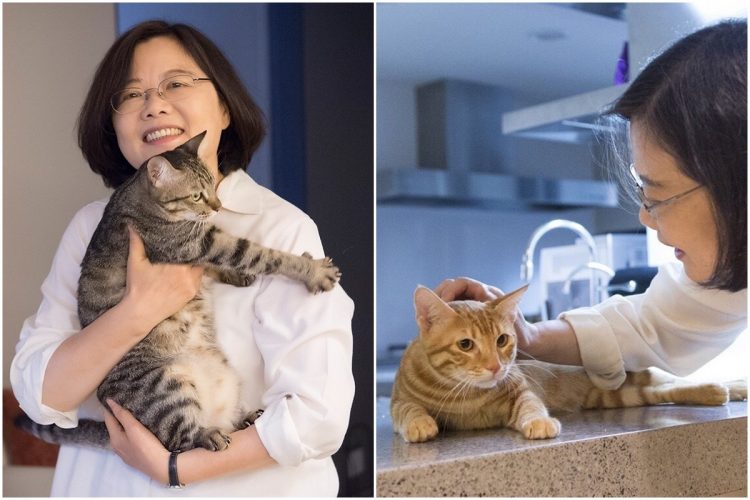 Tsai Ing-Wen and her two cats