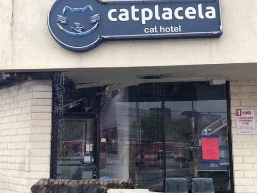Cat hotel where 17 cats perished by smoke inhalation from smoke from another area of a mall