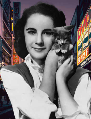 A young Elizabeth Taylor and a kitten