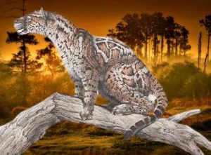 Pseudaelurus - the precursor of today's modern cat family