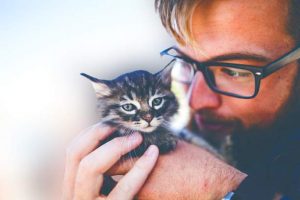 Cost of cat caregiving in the USA