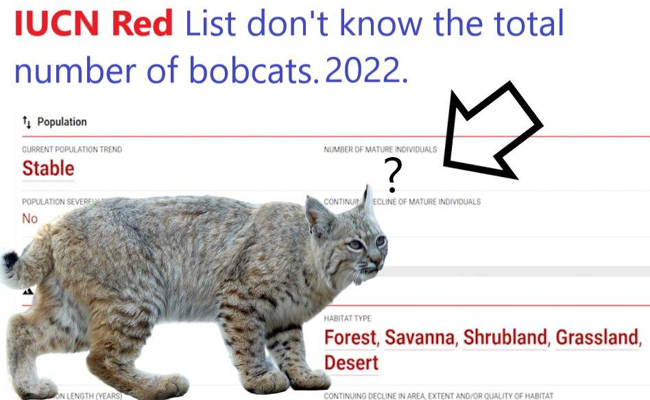 IUCN Red List don't know the total number of bobcats