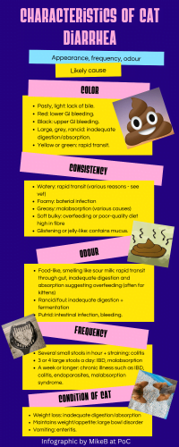 Infographic on 'Characteristics of cat diarrhoea'