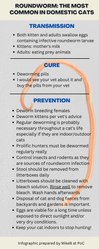 Roundworm the most common in domestic cats