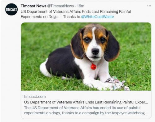 WCW ends dog testing by VA