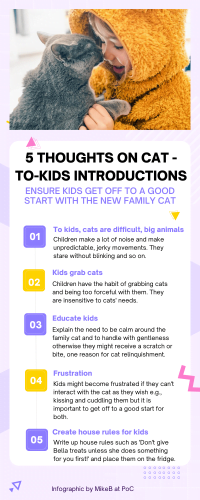 5 ideas on cat-to-kids introductions