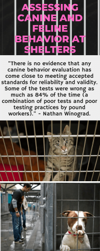 Assessing cat and dogs at shelters