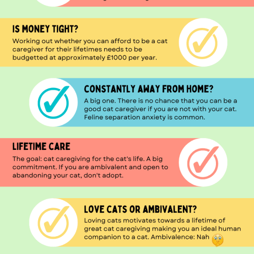 Be sensible before adopting a cat