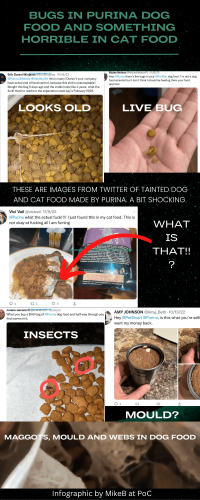 Bugs in Purina dog food and something horrible in cat food