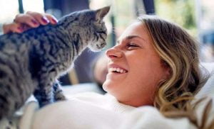 Cats make us smile and feel better