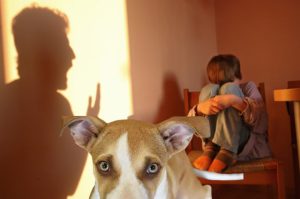 Kids abusing animals are often abused themselves
