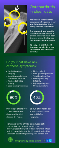 Infographic on osteoarthritis in older cats