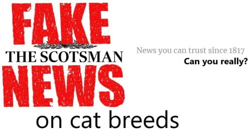The Scotsman provide fake information on the cat breeds