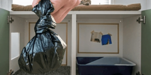 Difference in the way humans deal with cat and dog poop