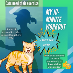 A shot of endorphins helps me get through my day. What about domestic cats?